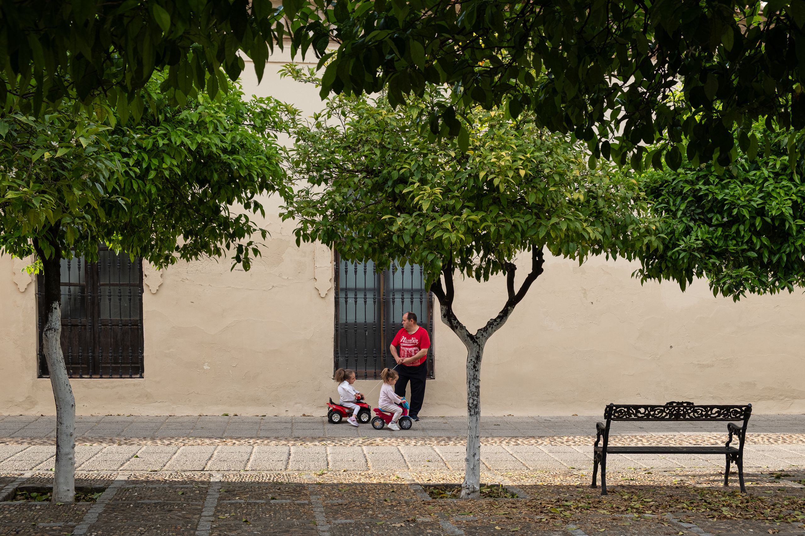 Abendspaziergang – Mutter mit Kindern unter Orangenbäumen